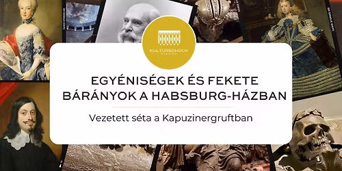 Egy\u00e9nis\u00e9gek \u00e9s fekete b\u00e1r\u00e1nyok a Habsburg-h\u00e1zban