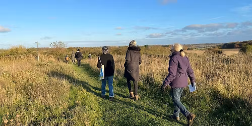 Plant lore & Identification Evening Walk