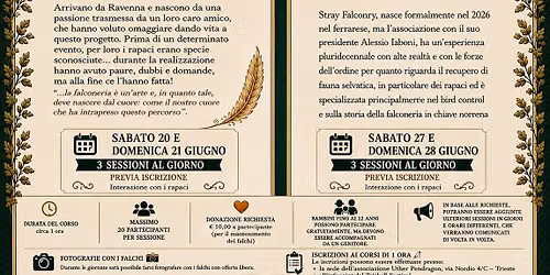 Workshop di Falconeria