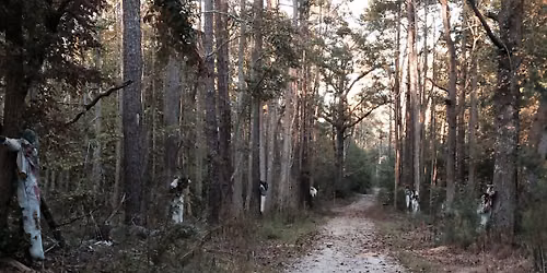 Frightening 4 Trail Run\/Hike