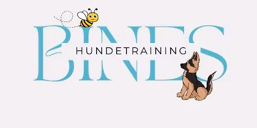 Hunde - Hallentraining - Brunn am Gebirge