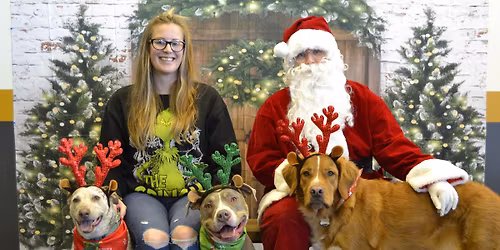 Paws and Claus photos