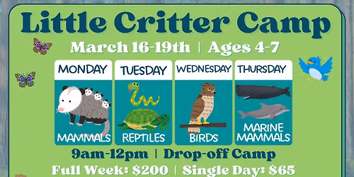 Little Critter Spring Break Camp 
