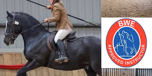 January 18th Working Equitation Clinic - Buxton