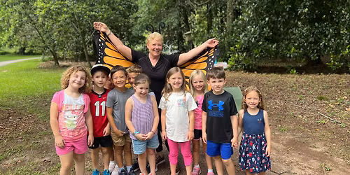 Children's Summer Activities