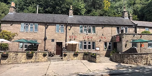 New Year's Eve Sardinian Night