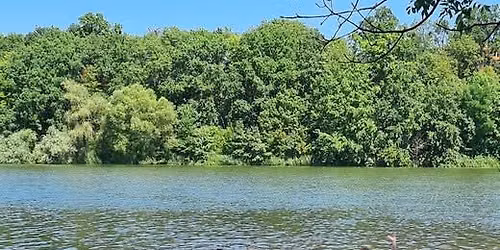 Prague Bear Summer 2026 - Naturistic Sunbathing and Swimming
