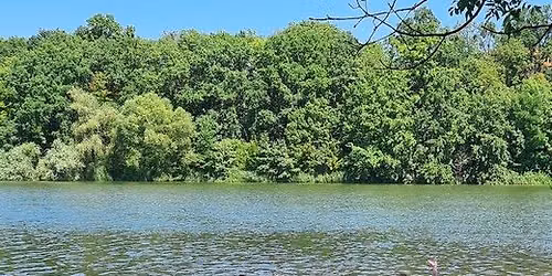 Prague Bear Summer 2026 - Naturistic Sunbathing and Swimming