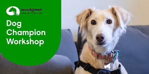 Dog Champion Workshop - March Library 
