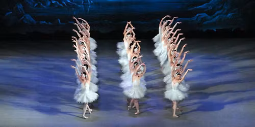 Nashville Ballet: Swan Lake
