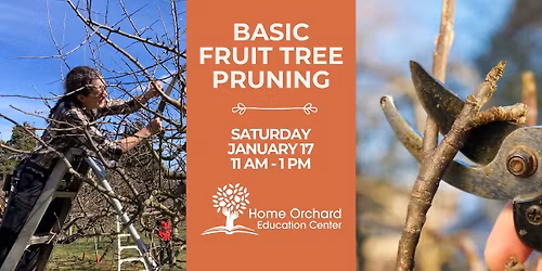 Basic Fruit Tree Pruning