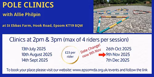 Pole Clinic with Allie Philpin - Sunday 7th December 2025