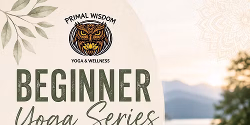 Beginner Yoga Series
