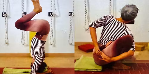 Sunday Yoga Online Morning Pranayama & Twists