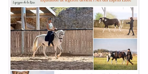 Stage Dressage avec Gina Pitti