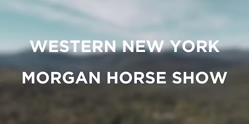 WESTERN NEW YORK MORGAN HORSE SHOW