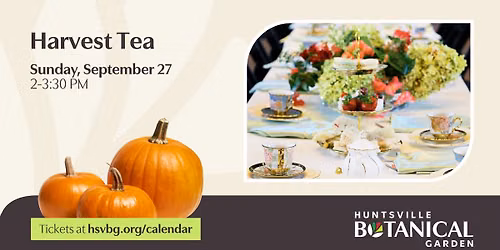 Harvest Tea