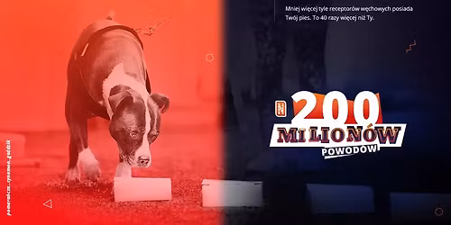 Zawody Nosework Polska z NoseWorld w Rogo\u017aniku