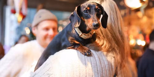DACHSHUND CAFE CHRISTMAS - LEICESTER