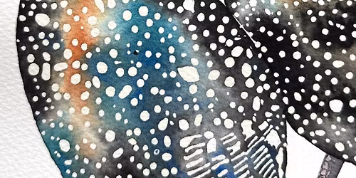 Guinea Fowl Watercolour Workshop with Rita Gould