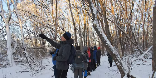 2025 Winter Bird Count in the Sanctuary and nearby