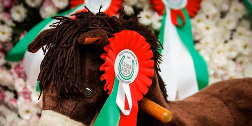 INDOOR DRESSAGE 2025\ud83c\udfc6