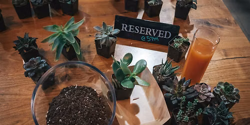 Succulent + Crystal Terrariums at Queen City Collective Coffee: Aurora