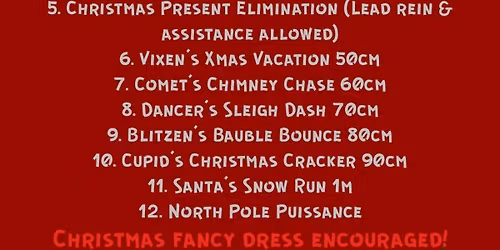 Christmas Jumping with Adventure Riding Club