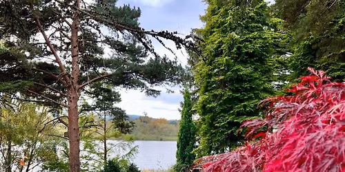Dr Neil's Garden
