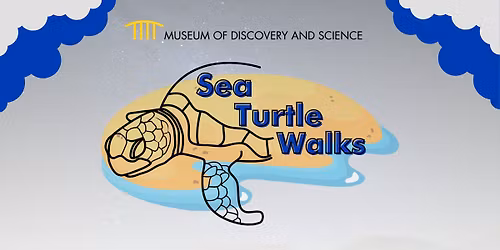 Sea Turtle Walks