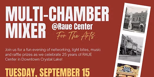 Multi-Chamber Mixer