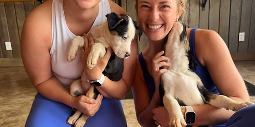 Puppies and Pilates