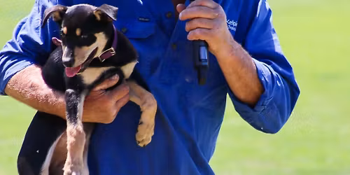 BASS COAST WONTHAGGI SHOW