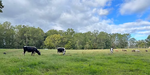 The October Farmstead Market
