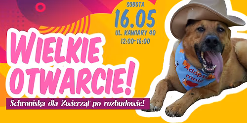 Wielkie Otwarcie Schroniska 