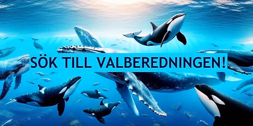 S\u00f6k Valberedningen!