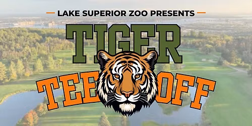 Tiger Tee Off Golf Scramble