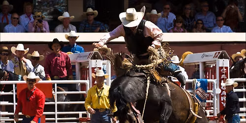 Calgary Stampede Rodeo