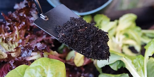 Backyard Composting Workshop