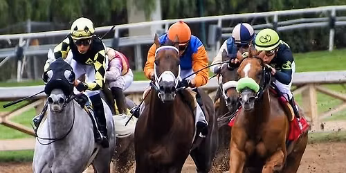 Race Night for Breast Cancer Now