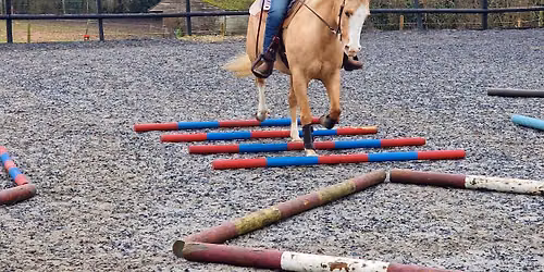 Pole Clinic