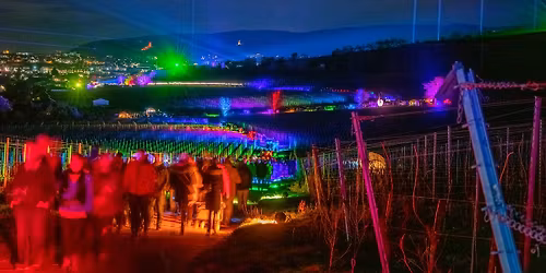 Bad D\u00fcrkheimer Weinbergnacht 2026