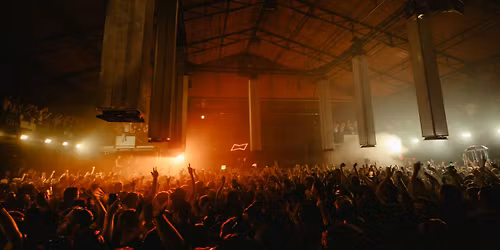 Into the Woods ADE Festival 2025