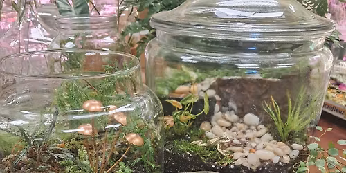 Make Your Own Terrarium Workshop