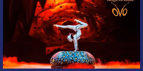 Cirque du Soleil OVO Madrid Tickets