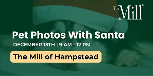 Pet Photos With Santa | The Mill of Hampstead
