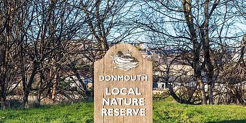 RSPB Aberdeen - Donmouth Nature Reserve Exploration - City Nature Challenge