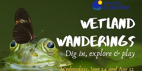 Wetland Wanderings