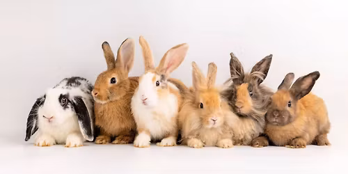 Burner Happy Hour - April!