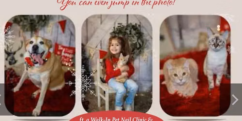 Holiday Pet Photo Shoot